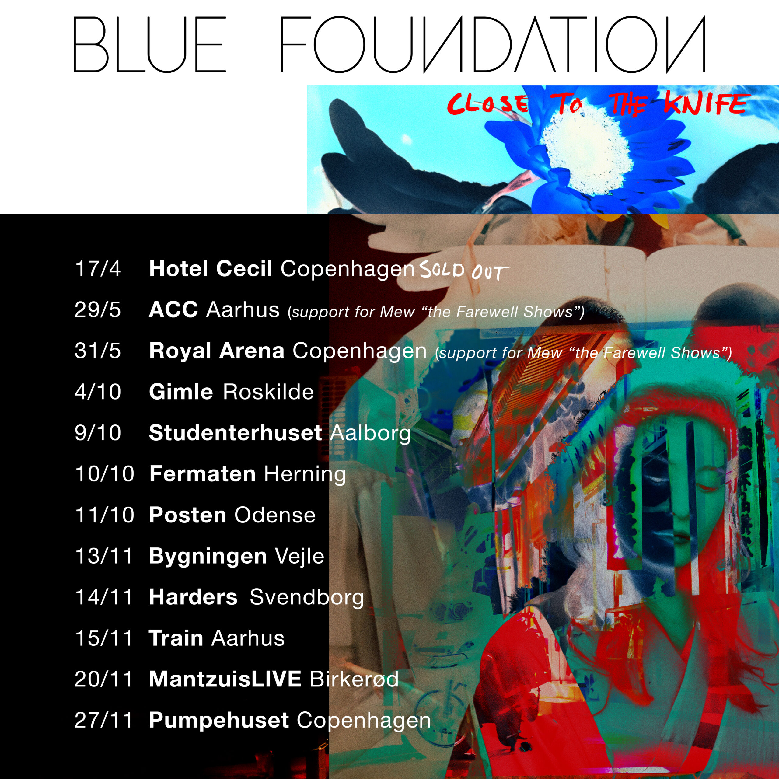 Blue Foundation
